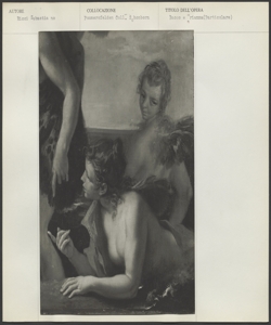 Pommersfelden - Coll. Schönborn - Ricci Sebastiano - Bacco e Arianna (Particolare)
