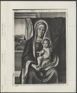 Milano, museo diocesano, Boccaccino, Madonna col Bambino