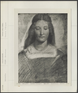 Milano, Ambrosiana, Boltraffio, Ritratto di dama
