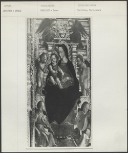 Treviglio - Collegiata di S. Martino- Butinone e Zenale - Polittico - Particolare