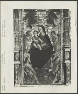 Treviglio - Collegiata di S. Martino- Butinone e Zenale - Polittico - Particolare