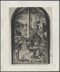 Capo d'Istria - Cattedrale - Carpaccio V., La strage degli Innocenti e la Presentazione al Tempio