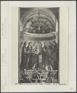 Venezia - Gallerie Accademia - Carpaccio V. - Presentazione di Gesù