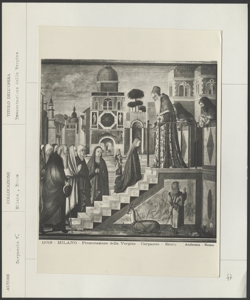 Milano- éinacoteca di Brera - Carpaccio V. - Presentazione della Vergine al tempio