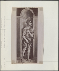 Firenze- Galleria Accademia- Filippino Lippi, S. Giovanni Battista