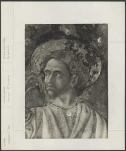 Venezia - Chiesa di S. Zaccaria - A. del Castagno - Un apostolo
