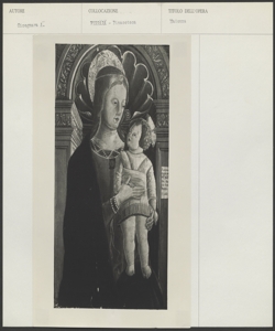 Ferrara - Pinacoteca - Cicognara A. - Madonna