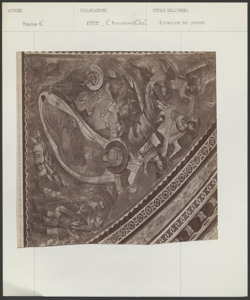 Assisi - Chiesa superiore di S. Francesco - Cimabue - Adorazione dei pastori