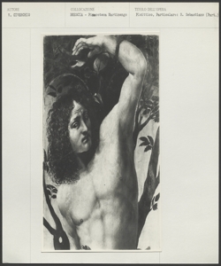 Brescia - Pinacoteca Tosio Martinengo - Civerchio V. - S. Sebastiano