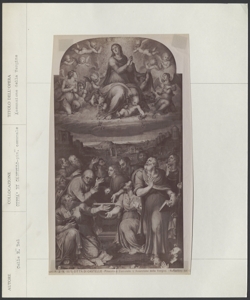Città di Castello - Pinacoteca Comunale - Colle R. del - Assunzione della Vergine