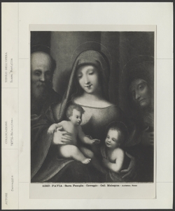 Pavia - Pinacoteca Malaspina - Correggio - Sacra Famiglia