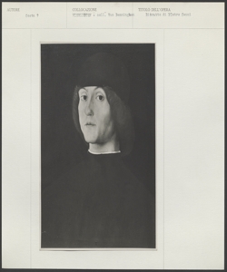 Vierlioten - Coll. Van Benninghen - Lorenzo Costa ? - Ritratto di Pietro Cenni