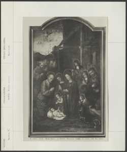 Pavia - Musei Civici - Fasolo Bernardino - Natività