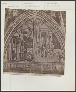 Assisi - Chiesa dei Pellegrini - Pier Antonio Mezzastris da Foligno - Miracoli di S. Antonio