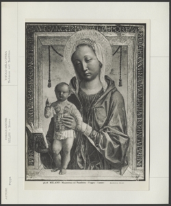 Milano - Pinacoteca del Castello sforzesco- Vincenzo Foppa - Madonna col Bambino