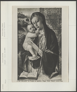 Milano - Museo Poldi Pezzoli Vincenzo Foppa - Vergine col Bambino