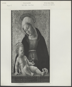 Raleigh (North Carolina)- Museum of Art- Vincenzo Foppa - Madonna col Bambino