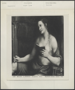 Milano - Pinacoteca di Brera - Giampietrino - Maddalena