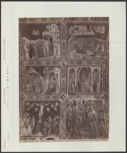 Assisi - Chiesa inferiore di S. Francesco - Giotto - Storie di Gesù