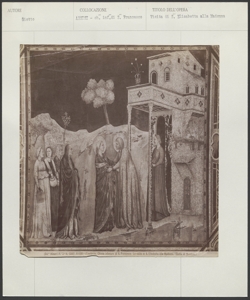 Assisi - Chiesa inferiore di S. Francesco - Giotto - Visita di S. Elisabetta alla Madonna