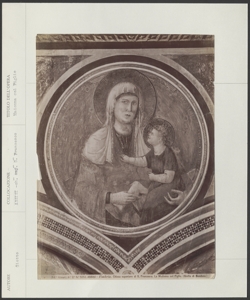 Assisi - Chiesa superiore di S. Francesco - Giotto - Madonna col Figlio