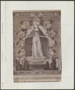 Gubbio - Pinacoteca del Palazzo dei Consoli - Sinibaldo Ibi - Gonfalone con la Madonna della Misericordia