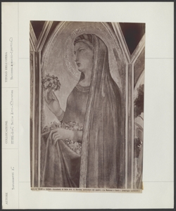 Siena- Pinacoteca Nazionale- Ambrogio Lorenzetti- Santa Dorotea