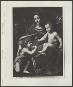 Milano- Pinacoteca Ambrosiana- Bernardino Luini- Madonna col Bambino e San Giovannino