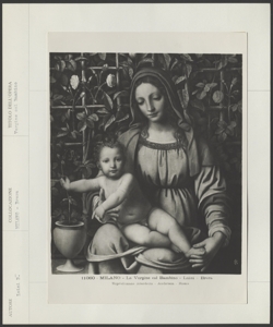 Milano- Pinacoteca di Brera- Bernardino Luini- Madonna del Roseto
