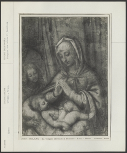 Milano- Pinacoteca di Brera- Andrea Solario- Madonna cin adorazione del Bambino