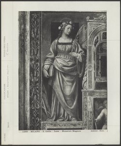 Milano- Chiesa di S. Maurizio al Monastero Maggiore- Bernardino Luini- Santa Cecilia