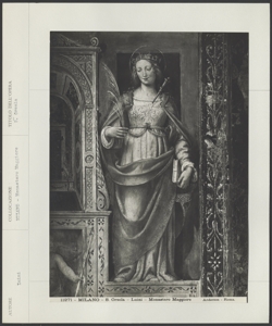 Milano- Chiesa di S. Maurizio al Monastero Maggiore- Bernardino Luini- Sant'Orsola