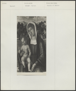 Bergamo- Accademia Carrara- Giovanni Mansueti- Madonna con Bambino in un paesaggio