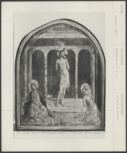 Firenze, Museo S. Marco, Beato Angelico (scuola), Cristo alla colonna
