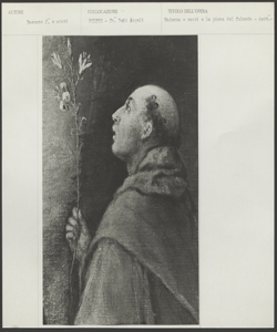 Feltre, Chiesa degli Angeli, Jacopo Bassano, Pala del Colmeda