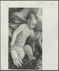 Firenze, collezione Contini Bonacossi, Jacopo Bassano, Madonna, Bambino e San Giovannino