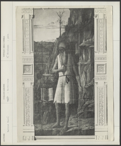 Museo d'Arte Sacra (chiesa di S. Giovanni Battista), Traù (Trogir) (Croazia), Gentile Bellini, San Girolamo
