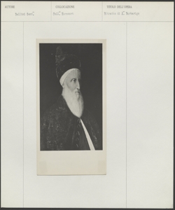 Collezione Alana, Newark (DE) (Delaware, Stati Uniti d'America), Gentile Bellini, Ritratto di Agostino Barbarigo