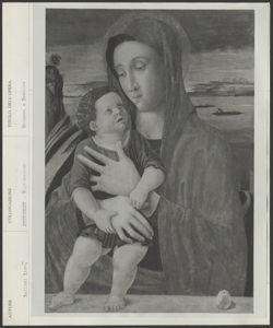 Amsterdam, Rijksmuseum, Bellini Giovanni, Madonna e Bambino