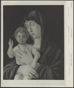 Amsterdam, Rijksmuseum, Bellini Giovanni, Madonna e Bambino benedicente