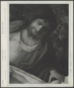 Besancon - Museo di Belle Arti Arti e Archeologia, Giovanni Bellini, Ubriacatezza di Noè