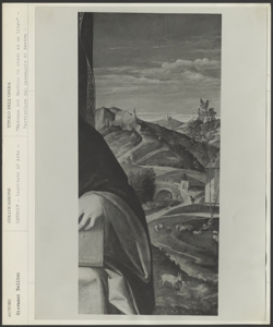 Detroit, Institute of Arts, Giovanni Bellini, Madonna che tiene il bambino benedicente