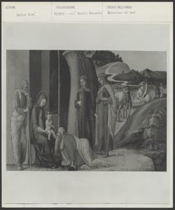 Firenze, Collezione Contini Bonacossi, Giovanni Bellini, scomparti di predella smembrata con Storie della Vergine: adorazione dei Magi