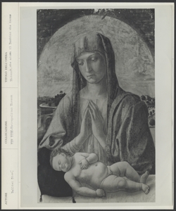 New York, Metropolitan Museum, Giovanni Bellini, Madonna in adorazione del Bambino che dorme