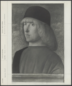 Padova, Musei Civici agli Eremitani, Giovanni Bellini, Ritratto di giovane senatore