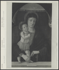 Pavia, Musei Civici del Castello Visconteo, Pinacoteca Malaspina, Giovanni Bellini, Madonna con Bambino