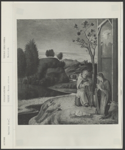 Pesaro, Museo Civico, Giovanni Bellini, Natività di Gesù