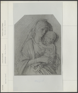 Rotterdam, Museo Boymans, Giovanni Bellini, Madonna col Bambino