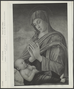 Firenze, Collezione Contini Bonacossi, Giovanni Bellini, Madonna con Bambino addormentato
