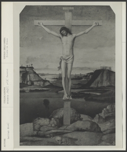 Firenze, Galleria Corsini, Giovanni Bellini, Cristo crocifisso